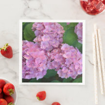 Elegant och Rustic Hortensia Hydrangea macrophylla