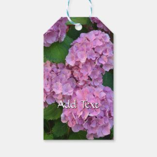 Elegant och Rustic Hortensia Hydrangea macrophylla Presentetikett