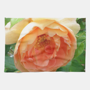 Elegant Orange Blush Ros Kökshandduk