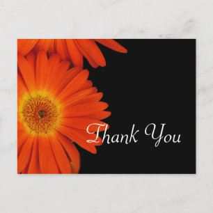 Elegant orange gerbera daisy blommor bröllopsförmå vykort
