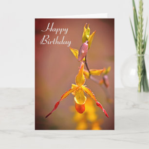 Elegant Orange Gult Orchid Flower Grattis på födel Kort