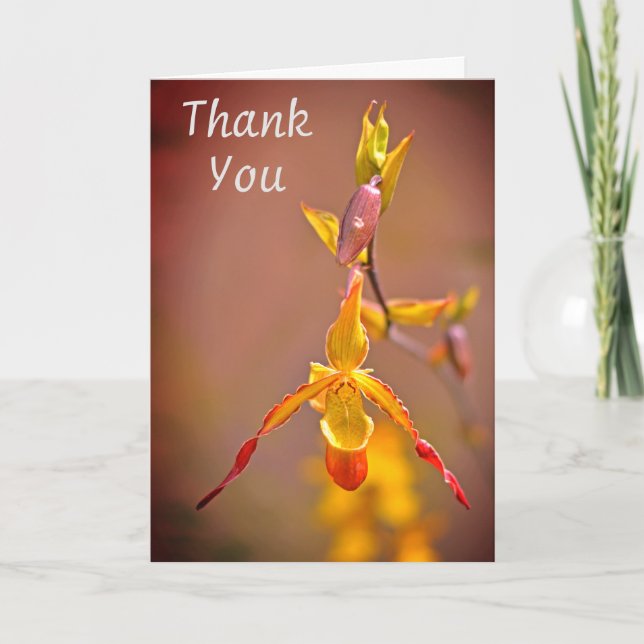 Elegant Orange Gult Orchid Flower Tack Kort (Framsida)
