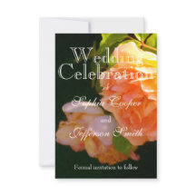 Elegant orange ljus persika Ro