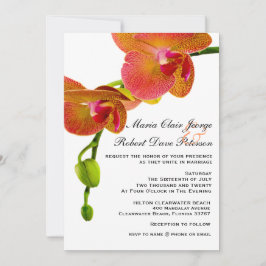 Elegant Orange Orchids Tropical Beach Wedding Inbjudningar