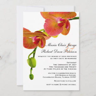 Elegant Orange Orchids Tropical Beach Wedding Inbjudningar