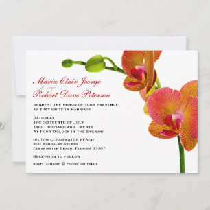 Elegant Orange Orchids Tropical Beach Wedding Inbjudningar