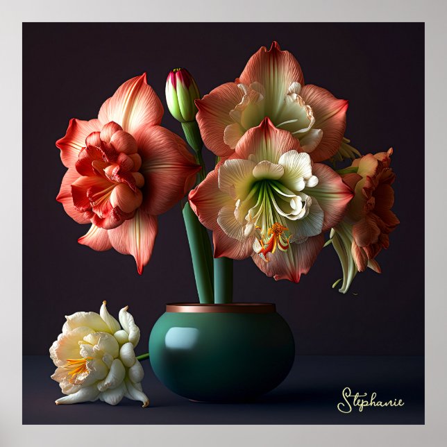 Elegant Orange Vit Amaryllis Flower Poster (Framsidan)