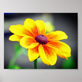 Elegant OrangeDahlia Flower med en Gult Poster