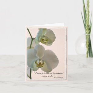 Elegant Orchid Tack för din sympati Kort