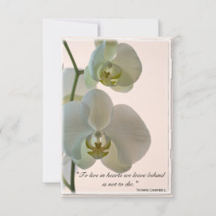 Elegant Orchid-Tack för din sympatianteckning Tack Kort