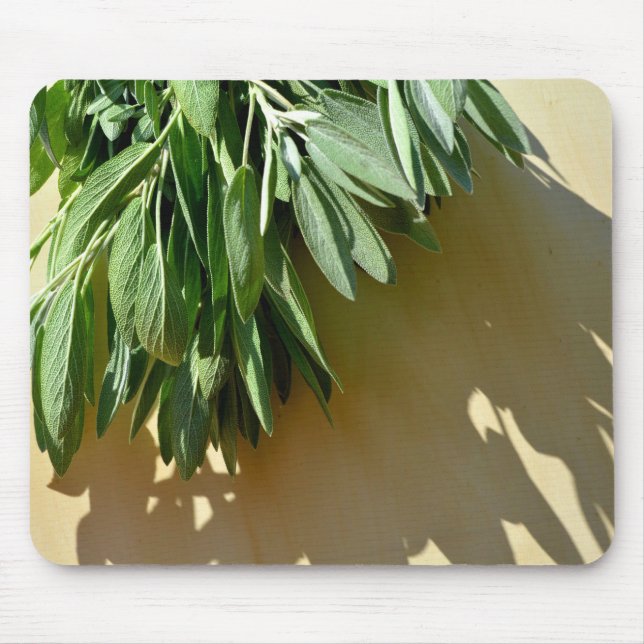 Elegant örter för botanisk grönt löv sage musmatta (Framsidan)