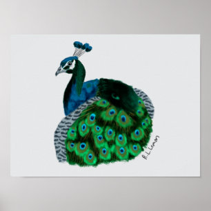 Elegant Påfågel Konst Poster