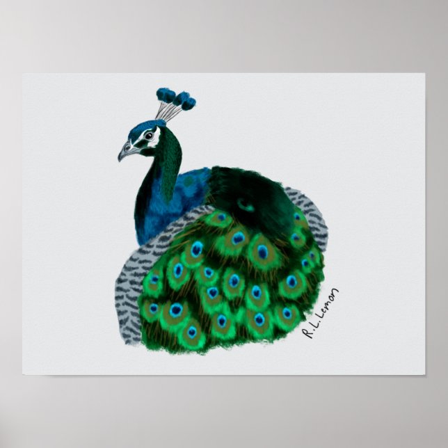 Elegant Påfågel Konst Poster (Framsidan)