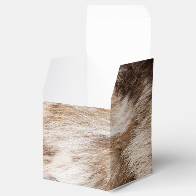 Elegant päls struktur presentaskar (Öppnad)