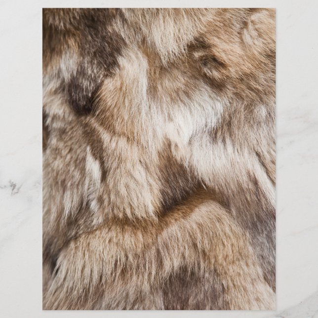 Elegant päls struktur reklamblad (Framsidan)