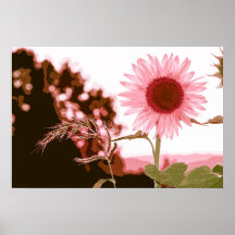 Elegant Peach Solros Artwork | POSTER