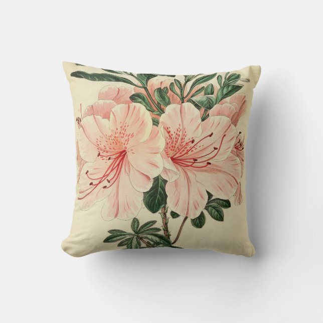 elegant Peach Vintage blommigt home decor  Kudde (Framsida)