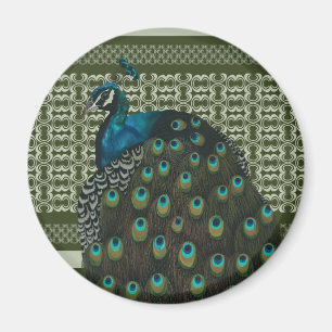 Elegant Peacock Bird Älskare Magnet