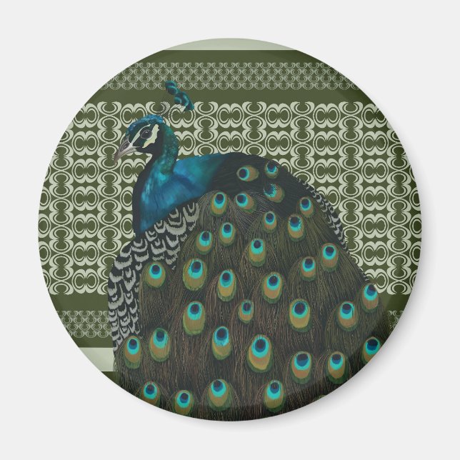 Elegant Peacock Bird Älskare Magnet (Framsidan)