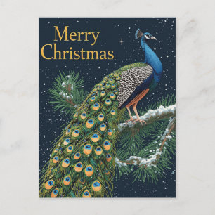 Elegant Peacock Gräs Gren God jul Holida Helg Vykort