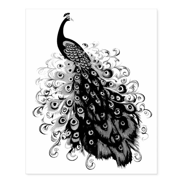 Elegant Peacock med Svan som är mycket detaljerat Stämpel (Tryck)
