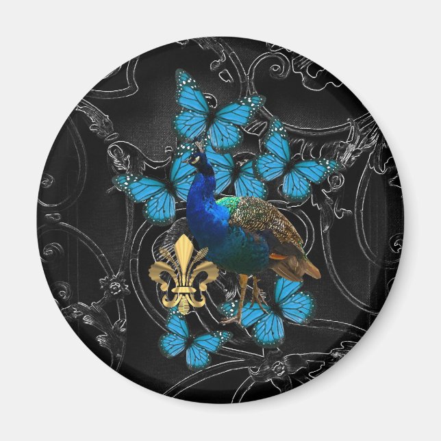Elegant Peacock och blå fjärilar på svart Magnet (Framsidan)