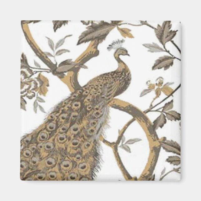 Elegant Peacock på vit magnet (Framsidan)