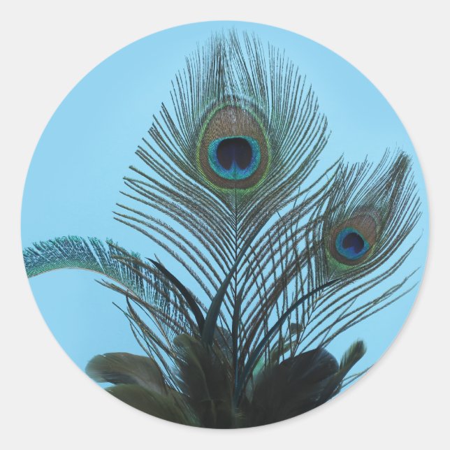 Elegant Peacock Sticker (turkos) Runt Klistermärke (Framsida)