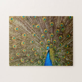 Elegant Peacock Svan Feathers Pussel