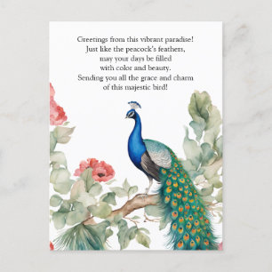 Elegant Peacock Vykort