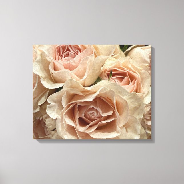 Elegant Persika & Rosablommiga Rosor Foto Canvas V (Framsida)