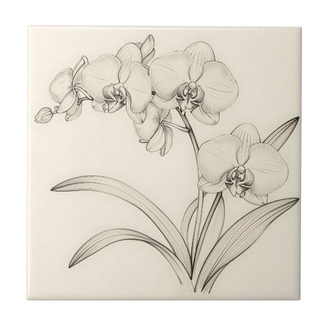 Elegant Phalaenopsis-Orkidé Linje Konst Kakelplatta (Framsidan)