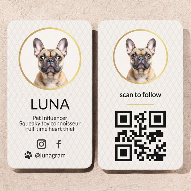 Elegant Photo Guld Hund Pet Social Media QR-kod Visitkort (Skapare uppladdad)