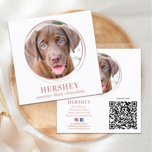 Elegant Photo Ro Guld Hund Pet Social Media Fyrkantigt Visitkort (Skapare uppladdad)
