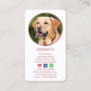 Elegant Photo Ro Guld Hund Pet Social Media Visitkort