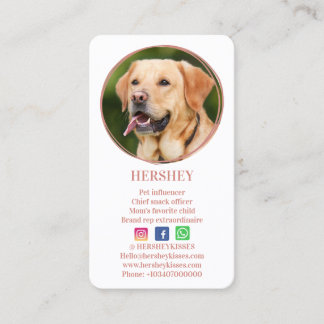 Elegant Photo Ro Guld Hund Pet Social Media Visitkort