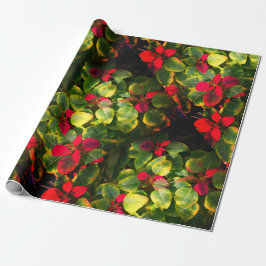 Elegant Poinsettia Jul Wrapping papper Presentpapper