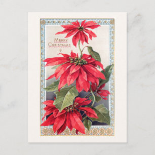 Elegant Poinsettias i Decorative Guld Ram Vykort