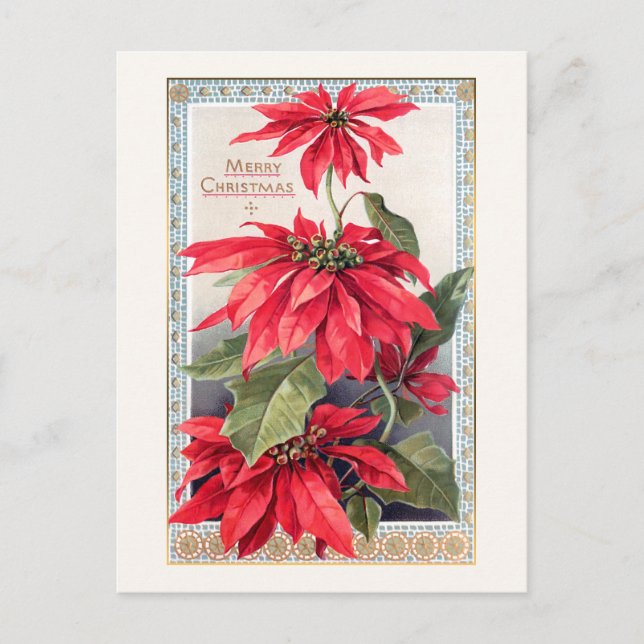 Elegant Poinsettias i Decorative Guld Ram Vykort (Framsida)