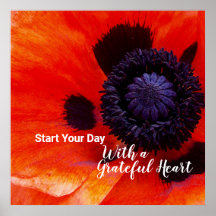 Elegant Poppy Flower Quote Gratful Heart