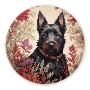 Elegant porträtt av skotsk terrierhund knopp