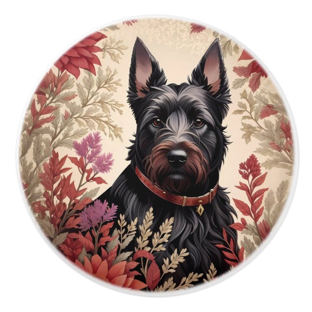 Elegant porträtt av skotsk terrierhund knopp (Framsidan)