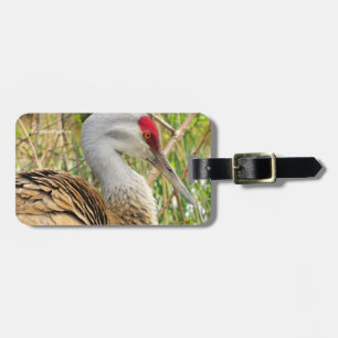 Elegant Profil för en Underbarare Sandhill Crane Bagagebricka