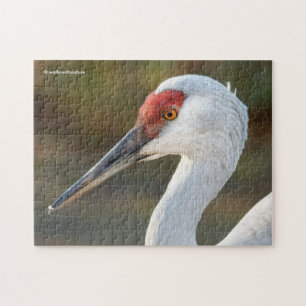 Elegant Profil för en Underbarare Sandhill Crane Pussel