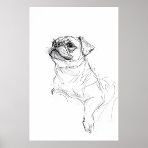 Elegant Pug Porträtt Sketch - Premium Poster