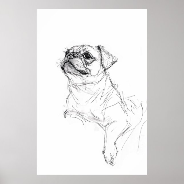 Elegant Pug Porträtt Sketch - Premium Poster (Framsidan)