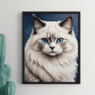 Elegant Ragdoll Cat Porträtt Artwork Blue Ögon Poster