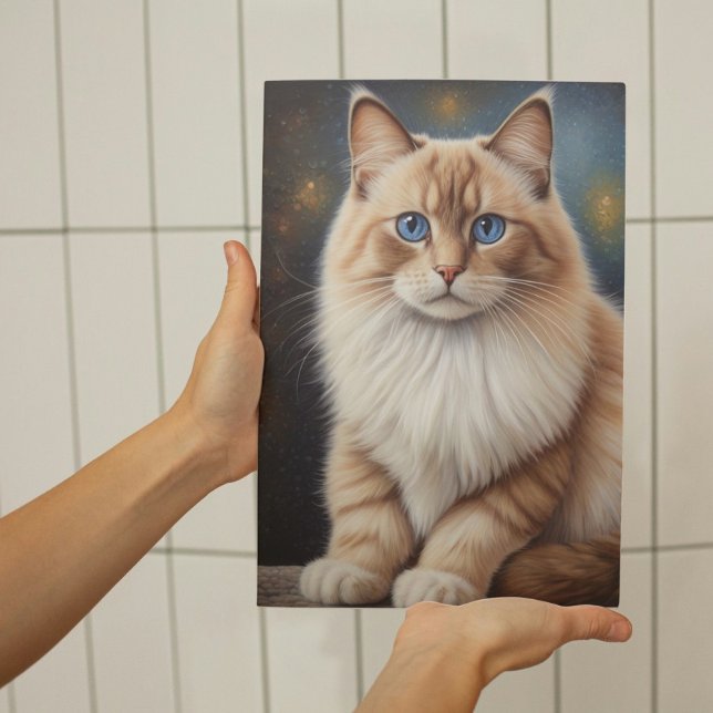 Elegant Ragdoll-målning Poster (Skapare uppladdad)