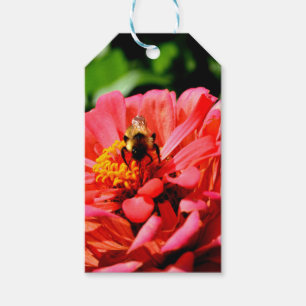 Elegant Red blommigt coral zinnia albblebee Presentetikett