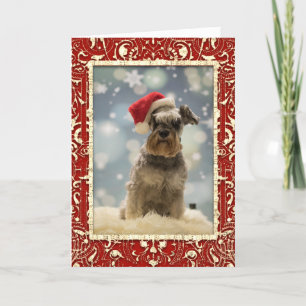 Elegant Red Golden Hund jul Helgkort